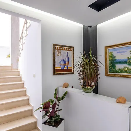 Margarita Apartment